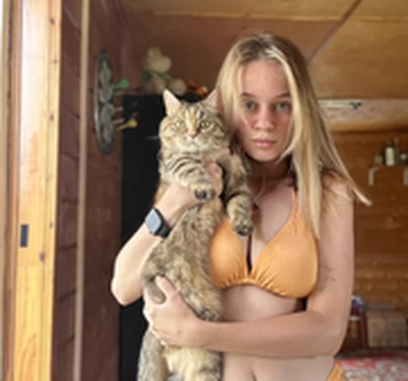 Dog Queen perfect star photos