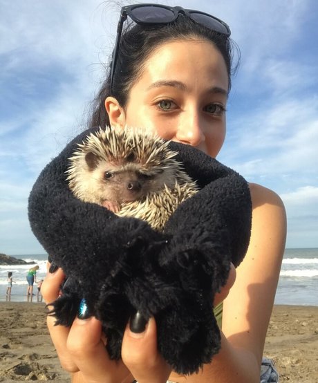 Milagros Seghi beautiful actress img