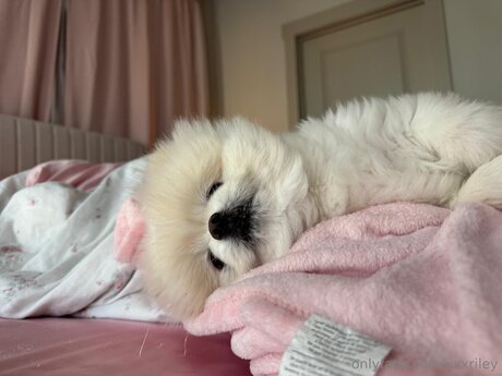 xxxriley pornstar pictures