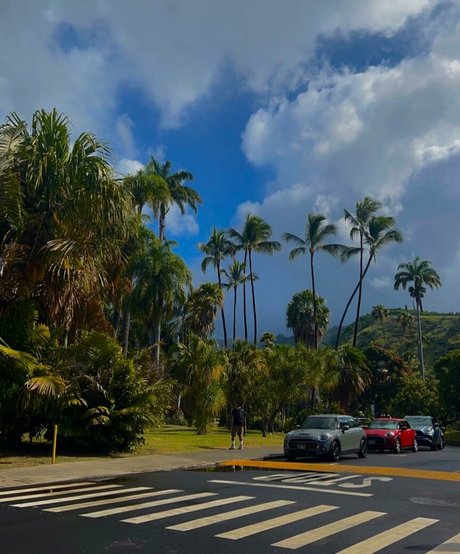 Keira Jackson pornographic star pictures