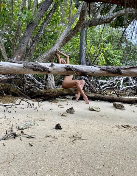 Lotus Bombb star beautiful picture