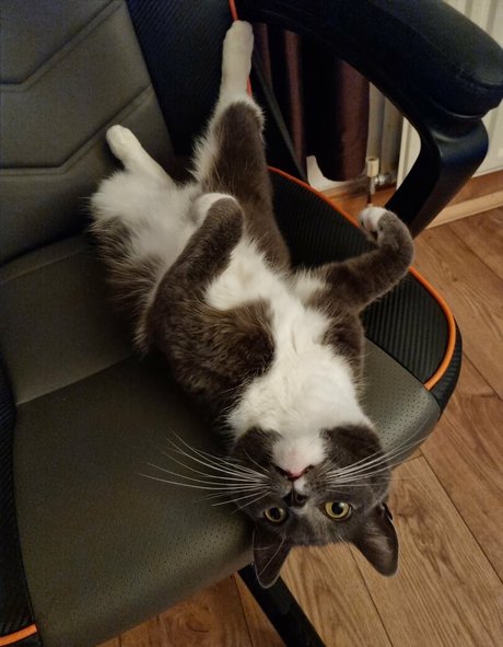 PufffyPink naked pornstar archive