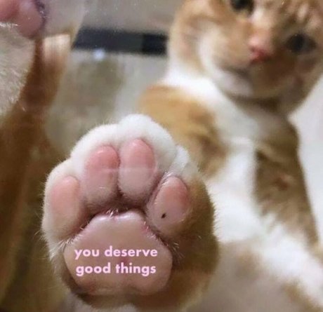 asian tranny onlyfans art xxx archive