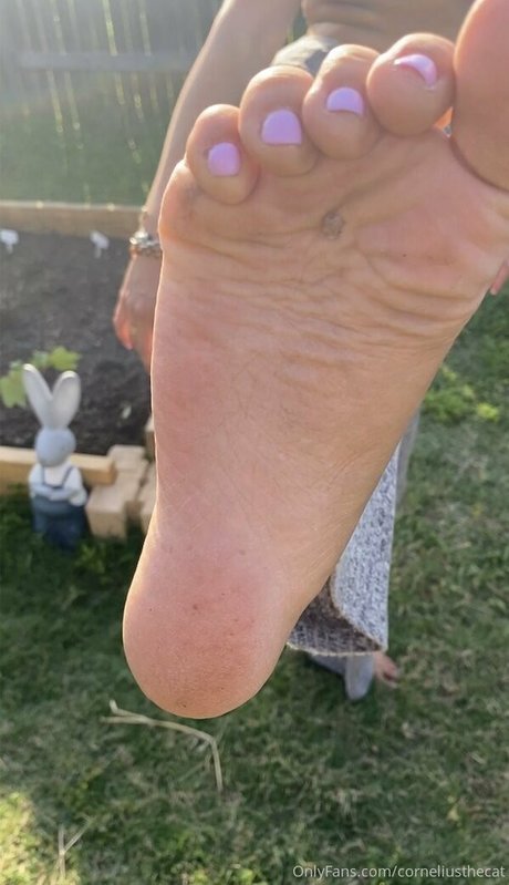 corneliusthecat star sexy img