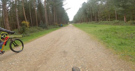 ann antics nude actress pictures