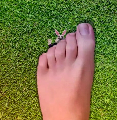 wreckinbecca star top image