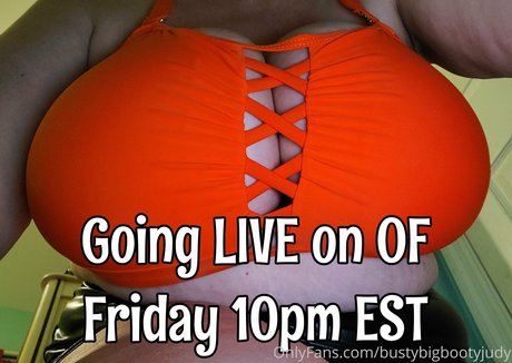 bustybigbootyjudy star gallery