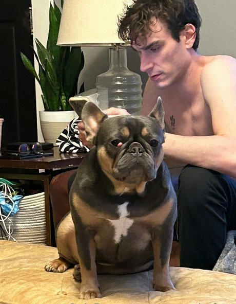 marstonhefner nude pornstar image