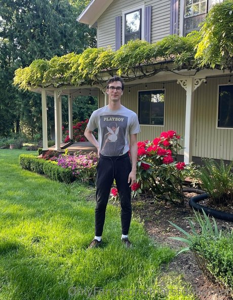 marstonhefner nice star galleries