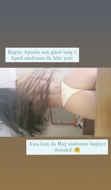 GymFoxFi star high quality galleries