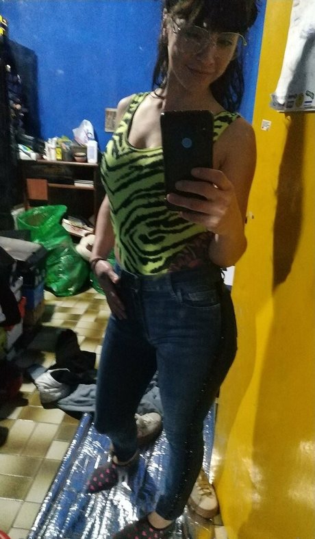 pampi cush star free image