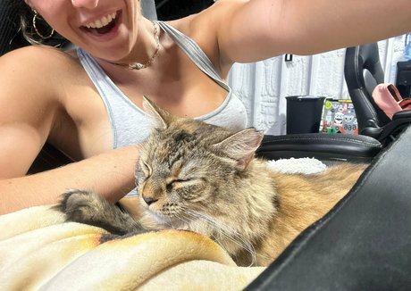 raynaroseetv pornstar adult images