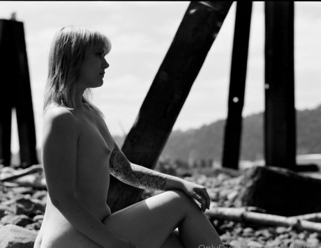 aziebugxfree star art images