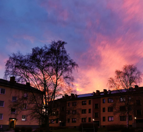 SunBunnie_ best actress photos