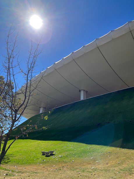 Van OnlyFans porn star image