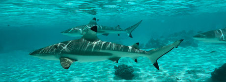 HotRiverGuy model nude photo