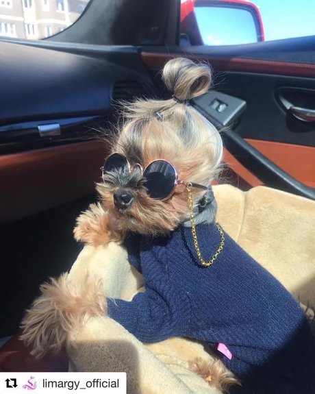 Black Marilyn Monroe sex model picture