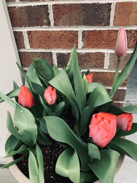 Douglas E Zima pornstar naked picture