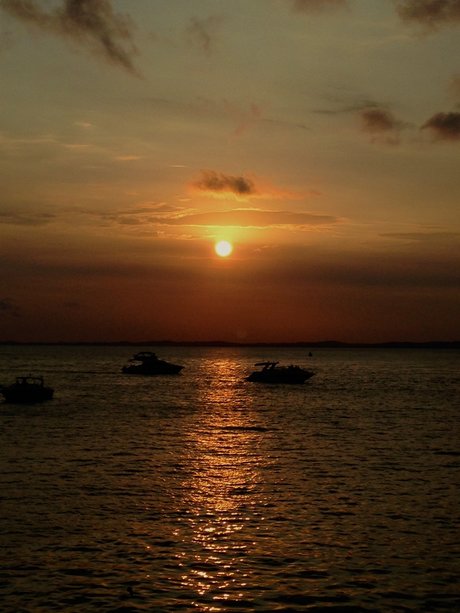 Murilo Marques sexy pornstar pictures