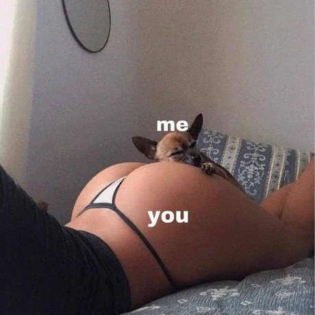 Malik Joshua beautiful pornstar pic