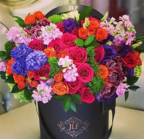 _Princes Dolltje_ star best pics