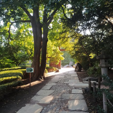 Arikui pornstar images