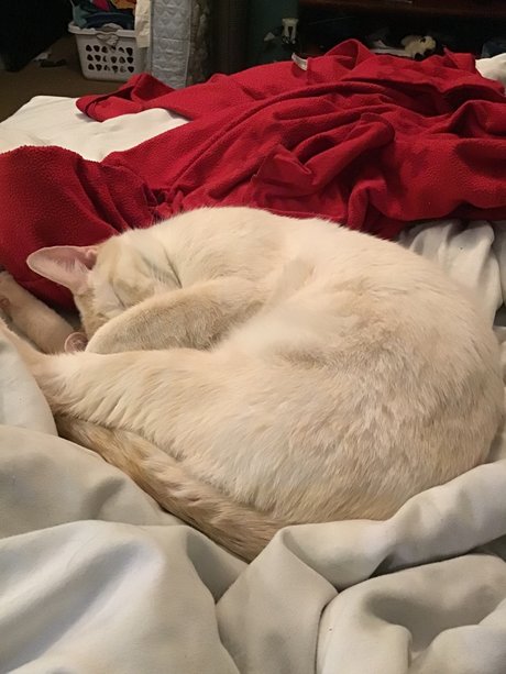 busty redhead onlyfans nice photo