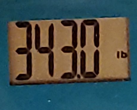 PudgyLovin_ adult actress gallery