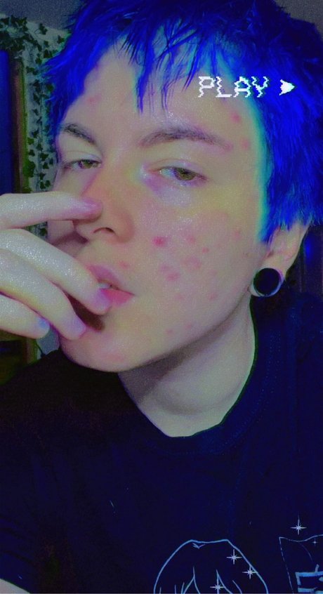 punk puppy nice model pictures