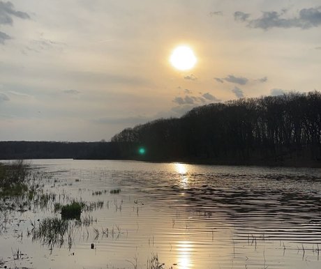 Cosmic Cowboy hd actress archive