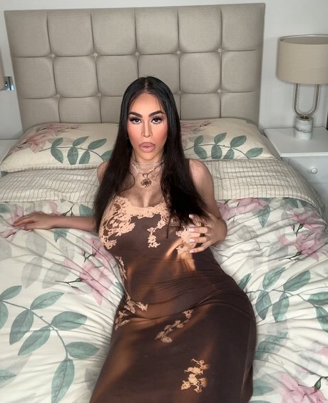 Transquility star hd image