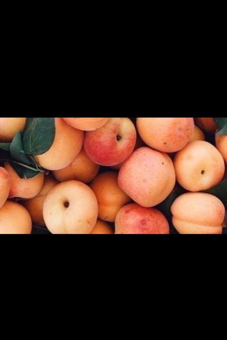 Aden sex model pictures