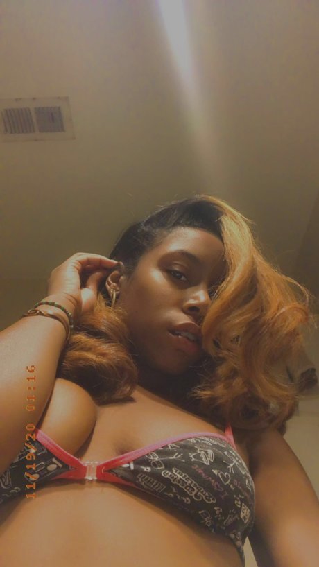 Shannice Rose star pornographic archive