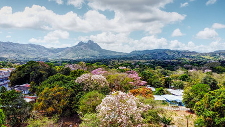 Thady pretty pornstar image