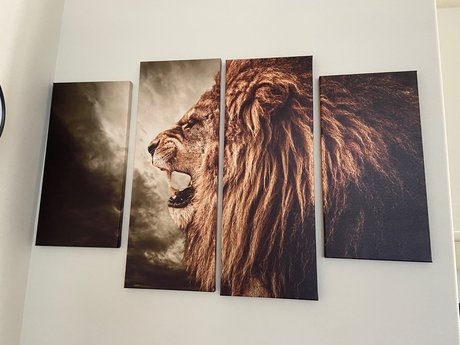 Skittles9993 pornstar beautiful pictures