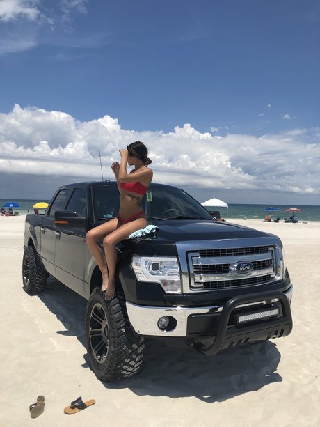 Picantebby star adult picture