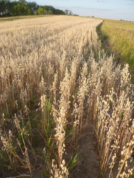 Richard Nixon was not swag nice actress galleries