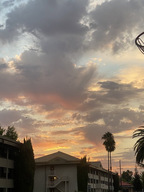 Sleeping Beauty perfect pornstar gallery