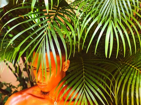 Pisan Dreams free pornstar picture