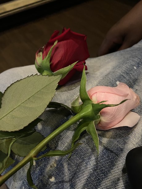 Blueyedcrush model exclusive pic