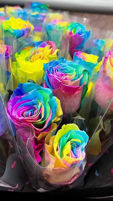 Kirstie nice pornstar picture