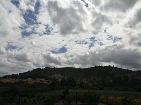 Pando pornstar hd pic