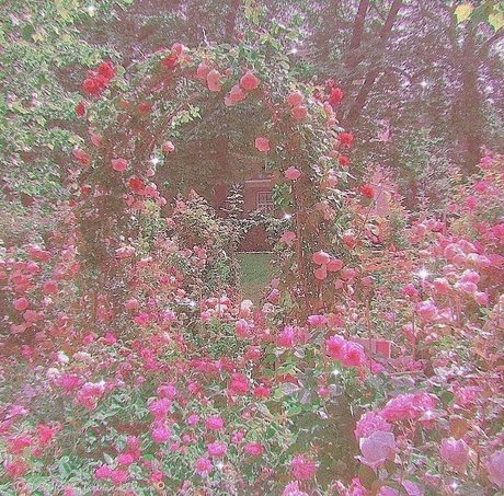 Goddess Miki model erotic img