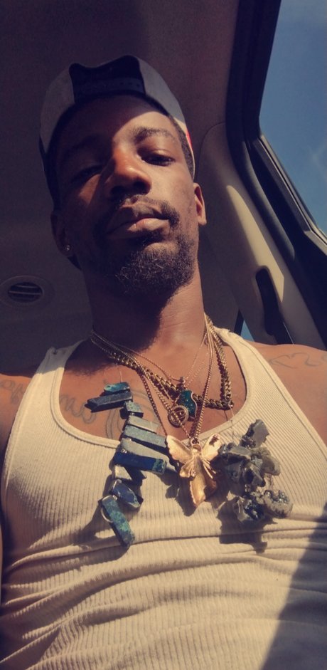 Ace LongSnake star adult picture