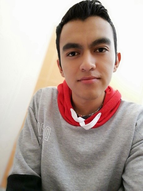 Carlos Daniel S nchez Estrada porn actress gallery