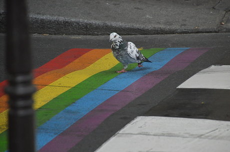 KAMCM93 perfect pornstar picture