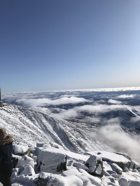 Tobythenorwegian_ model high quality archive