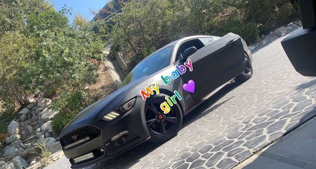 Dylan Adams model adult img