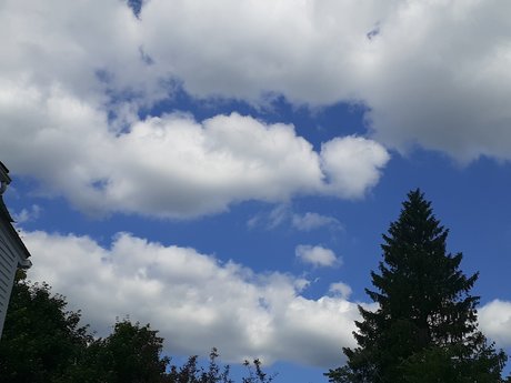 Kingler star sexy img