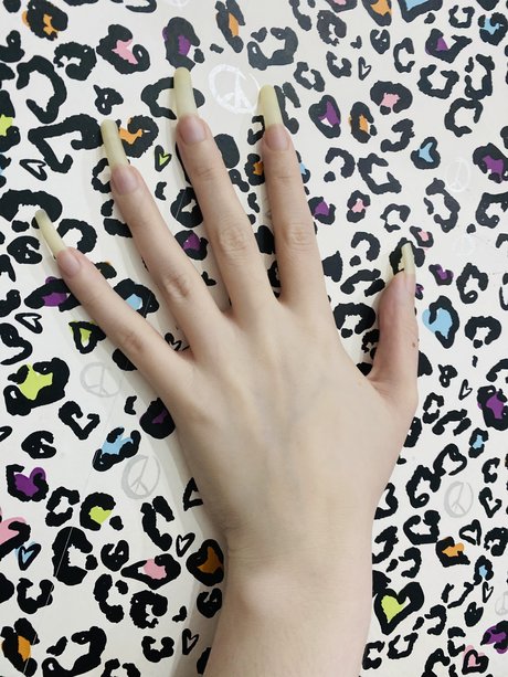 Nailed It top star archive